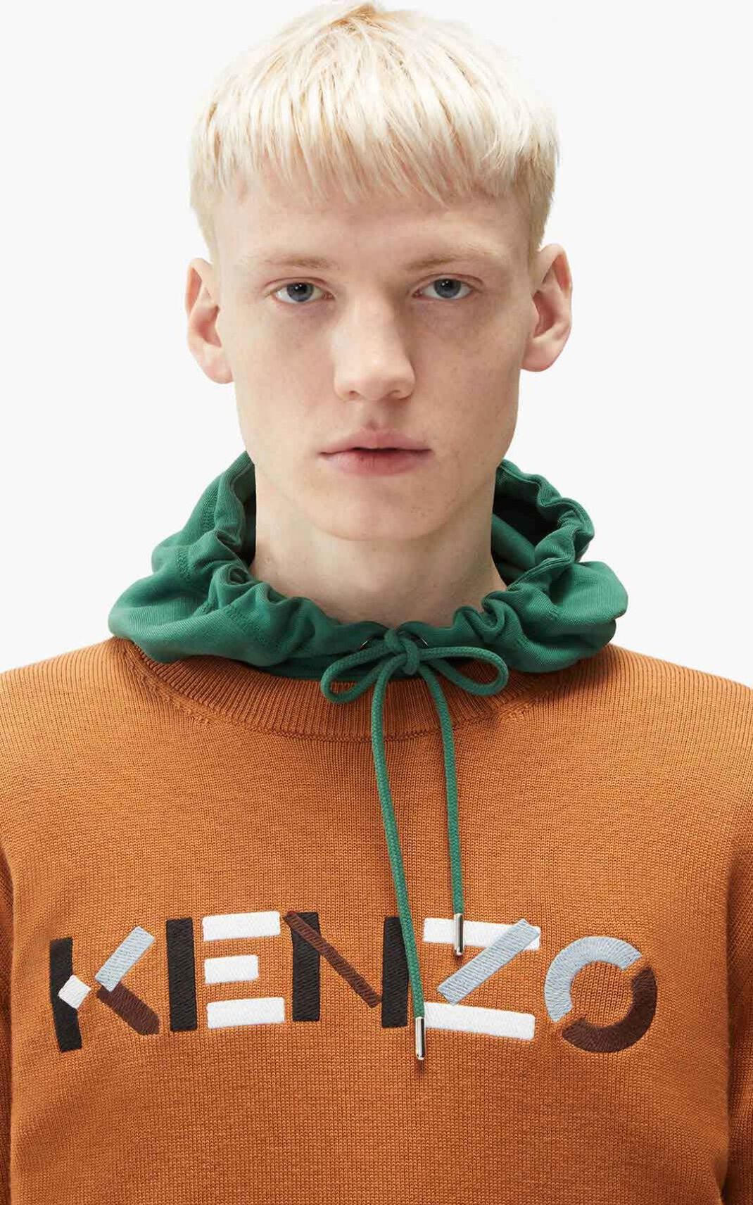 Kenzo Logo merino wool Puloveri Muške - Smeđe - Hrvatska NJRAOS197